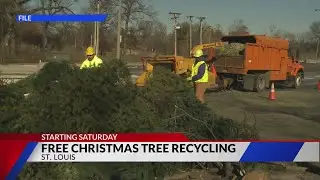 St. Louis City has three locations for Christmas tree recycling