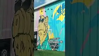 Wilmington, NC | DocTV&trade; | TorryB. #wilmingtonnc #portcity #wilmington #doctelevision #art #artwork