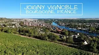 Drone Joigny Vignoble Côte Saint Jacques, Fearless Motivation Instrumentals [DJI Spark]
