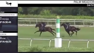 Golden Pal el uncle mo 4f48 debuta ma&ntilde;ana en Gulfstream es muy veloz