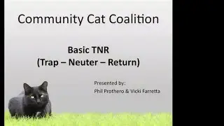 Basic TNR class, ASL Interpreted * Community Cat Coalition