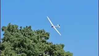 Fw Models ASW17 & Cirrus
