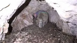 Это убежище времен Второй мировой войны должно было оставаться в секрете&hellip; До сих пор.