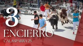 TERCER ENCIERRO de Calasparra 2025 | Novillos de Raso de Portillo