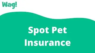 Spot Pet Insurance | Wag!