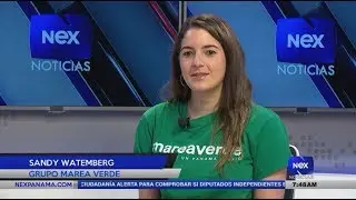 Grupo Marea Verde Panam&aacute;, unidos por un Panam&aacute; limpio