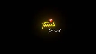 Chi Sta Da Meni Rad Okam 🤦🏻 | Pashto Poetry | Tiktok Poetry | WhatsApp Status | Black Screen Poetry