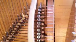 Organistrum & Octaved Violin