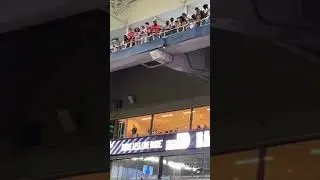 Cat falls from up deck at UM vs. App State Game!!!