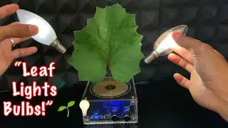 Leaf Electricity Tesla Coil Experiment | Can a Leaf Power Light Bulbs?
