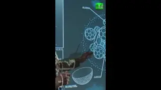 Optimize for Knowledge Graph: Small Business SEO Tips #SEO #SmallBusiness #KnowledgeGraph