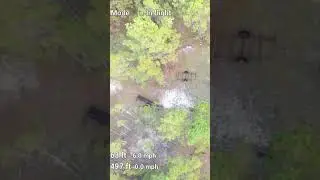 #dronevideo Abandoned sand pit since 1978 #dronevideo #dronefootage #drone #abandonedplaces