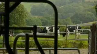 Irland und das Gold der grünen Insel - Eine Reise mit Kerrygold