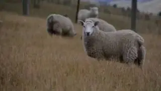 2017 Otago Ballance Farm Environment Awards Supreme Winners