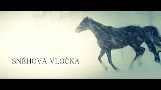 SNĚHOV&Aacute; VLOČKA