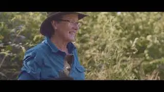 Take Kate's tour of landcare work in the Kurrajong Region