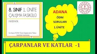 8. sınıf meb çalışma fasikülleri çözümleri  (Adana -1 )
