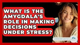 What Is The Amygdala's Role In Making Decisions Under Stress? - Stress Free Mindset
