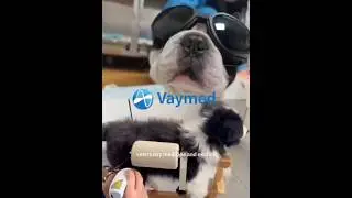 2025 V-Heal Veterinary Class 4 Laser Therapy Device(Smallest Laser LED Therapy) #lasertherapy