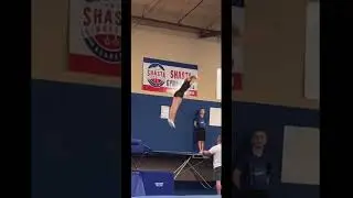 Again, porpoises&hellip;💀💀#death #crash #fall #trampoline