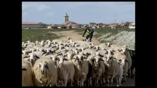 De Palencia a Torremormojón en bicicleta de montaña