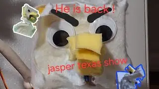 Dominick is back jasper texas show