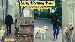 Early Morning Walk With My Dog | Peaceful Views and Nature Sounds in Almora, Uttarakhand