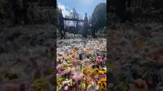 Floral Tributes at Sandringham, Norfolk. In Memoriam Her Majesty Queen Elizabeth II, thank you Ma&rsquo;am