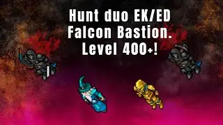 Tibia hunt duo EK e ED -  Falcon Bastion (lvl 400+.) 1.3kk/h de profit sem runas nem prey!