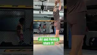 Jiri Prochazka and Alex Pereira share the UFC PI