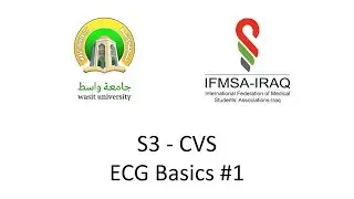 S3 - CVS - ECG Basics #1