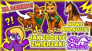 😱SPOILER NOWYCH ANDALUZ&Oacute;W! 😱 JAK ZDOBYĆ DWA DARMOWE ZWIERZAKI ZE ŚWIĘTA?