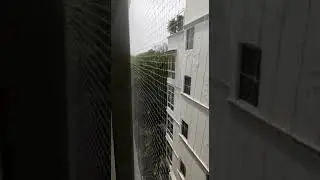 Star Bird Netting & Pest Control ( Monkey  netting Services In Delhi| Gurgaon| Noida| Sarita Vihar|