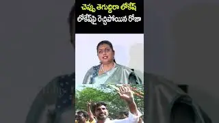 RK Roja Fires On Nara Lokesh #rkroja #naralokesh #shorts #fridaypolitics #ysjagan