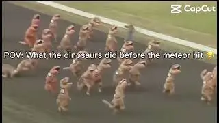 POV: what the dinosaurs did before the meteor hit lol (my first videoXD)