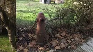 Perlora. Capítulo 2