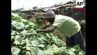 Organic farming out of Kenya's poorest area