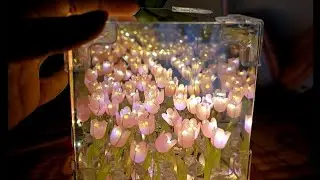 DIY Tulip Mirror Night Light | Step-by-Step Tutorial 💫💖