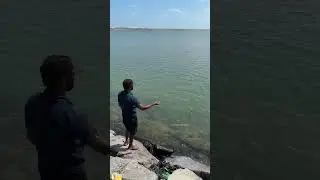 They Used a Pocket of Magic Powder&hellip; And Caught Priceless Fish! #fishing #mulletfishing