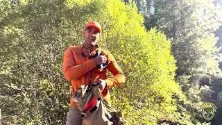What to Bring Grouse Hunting