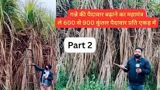 गन्ने का पैदावार कैसे बढ़ाये जानें महामंत्र | Part 2 | How to increase sugarcane yield | Grewal Agro