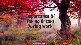 Life Tip 5 | Importance Of Taking Breaks At Work