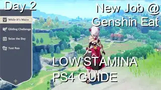 Genshin Impact: While its warm Day 2 Low Stamina Guide [PS4]