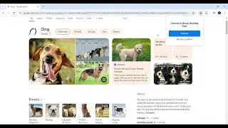 Bionic Text Converter - Boost Reading Speed & Focus Demo