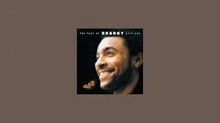 shaggy - boombastic (sting remix) (sped up)