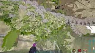 Ark l offical pvp l Highlight 6