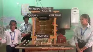 Science Project - Hydroponic Harming, Aeroponic Farming and Vertical Farming in Urban Area