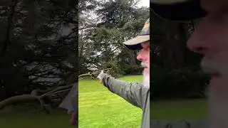 Walking again - to bird show!