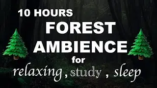 🌳🦌 Windy Dry Forest Ambience (10 Hours) CALMING sound for Study, Relaxation, Background 🌳🦌