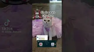 chelsea vs Charlton,,fa cup #funny